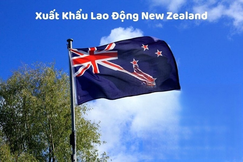Bí quyết tăng cơ hội trúng tuyển chương trình lao động New Zealand